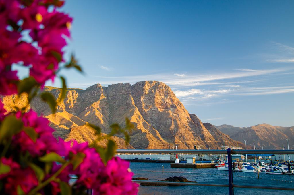 Blick von einer Klippe auf den Hafen von Puerto de las Nieves auf Gran Canaria. Im Vordergrund ragen vulkanische Felsen mit grüner Vegetation ins Bild, unten liegt der Hafen mit einem Fährschiff und weißen Häusern. Dahinter erstreckt sich die Küste bis zum Horizont, umgeben vom blauen Atlantik im warmen Abendlicht.